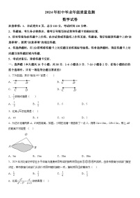 2024年河北省石家庄市新华区中考一模数学试题（含解析）