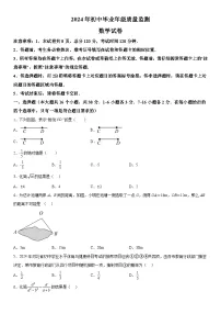 2024年河北省石家庄市新华区中考一模数学试题（含解析）