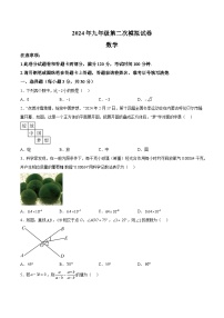 2024年河南省周口市郸城县九年级中考二模数学模拟试题（含解析）