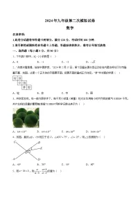2024年河南省周口市郸城县九年级中考二模数学模拟试题（含解析）