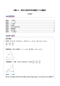 苏科版九年级数学下册举一反三专题6.8相似三角形的常见模型【八大题型】(原卷版+解析)