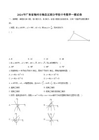 2024年广东省梅州市梅县区部分学校中考数学一模试卷(含解析）