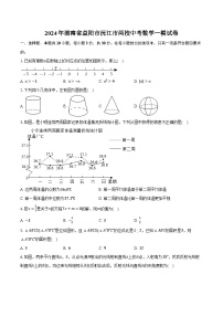 2024年湖南省益阳市沅江市两校中考数学一模试卷(含解析） (2)