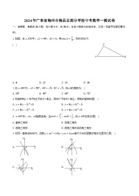 2024年广东省梅州市梅县区部分学校中考数学一模试卷+