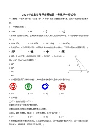 2024年山东省菏泽市郓城县中考数学一模试卷+