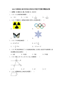 2022年黑龙江省齐齐哈尔市部分学校中考数学模拟试卷