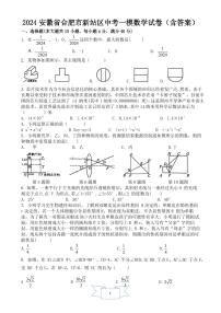 2024年安徽省合肥市新站区中考一模数学试卷