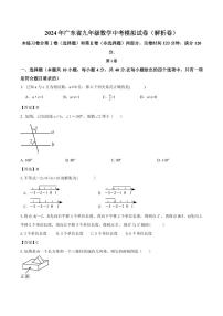2024年广东省九年级数学中考模拟试卷