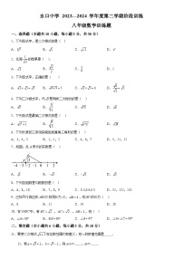 广东省惠州市惠城区水口中学2023-2024学年八年级下册月考数学试题（含解析）