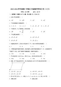 广东省惠州市惠城区2023-2024学年八年级下册月考数学试题（含解析）