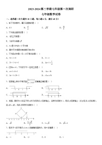 安徽省蚌埠市高新教育集团2023-2024学年七年级下册月考数学试题（含解析）