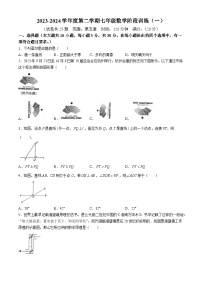 广东省湛江市廉江市良垌镇第三初级中学2023-2024学年七年级下学期月考数学试题