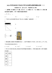 2024年河北省沧州市任丘市第八中学级中考一模数学试题（原卷版+解析版）