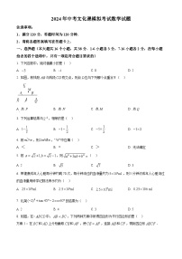 2024年河北省沧州市肃宁县部分学校中考一模数学试题（原卷版+解析版）