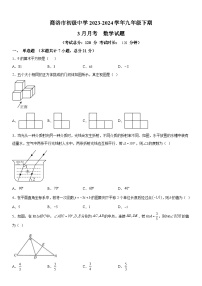 陕西省商洛市初级中学2023-2024学年九年级下册月考数学试题（含解析）