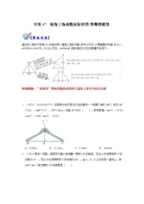 北师大版九年级数学全册高分突破必练专题专项17锐角三角函数实际应用-背靠背模型(原卷版+解析)