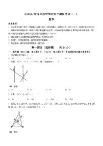 2024年陕西省商洛市山阳县中考一模数学试题(无答案)