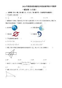 2024年陕西省西咸新区沣西实验学校中考一模数学试题（原卷版+解析版）