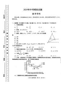 2024年甘肃省合水县部分学校+九年级+一模考试数学试题