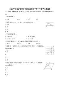 2024年陕西省榆林市子洲县周家硷中学中考数学三模试卷（含解析）