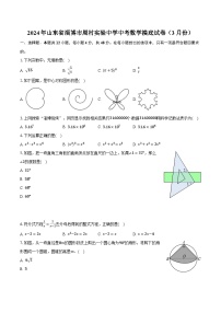 2024年山东省淄博市周村实验中学中考数学摸底试卷（3月份）（含解析）