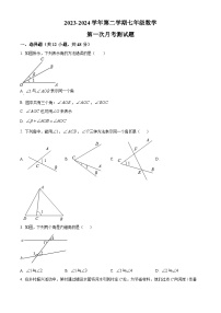 山东省聊城市阳谷县实验中学2023-2024学年七年级下学期3月月考数学试题（原卷版+解析版）