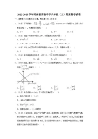 2022-2023学年河南省实验中学八年级（上）期末数学试卷