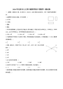 2024年北京市人大附中朝阳学校中考数学一模试卷（含解析）