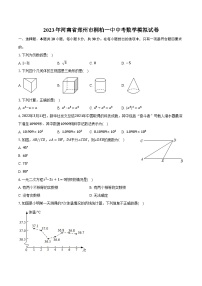 2023年河南省郑州市桐柏一中中考数学模拟试卷（含解析）