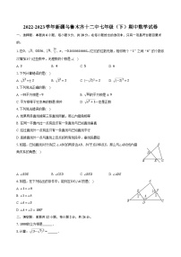 2022-2023学年新疆乌鲁木齐十二中七年级（下）期中数学试卷（含解析）