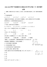 2022-2023学年广东省梅州市大埔县古村中学七年级（下）期中数学试卷（含解析）