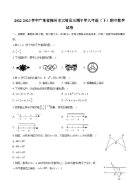 2022-2023学年广东省梅州市大埔县玉瑚中学八年级（下）期中数学试卷（含解析）