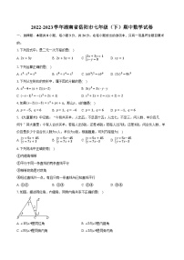 2022-2023学年湖南省岳阳市七年级（下）期中数学试卷（含解析）