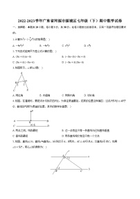 2022-2023学年广东省河源市源城区七年级（下）期中数学试卷（含解析）