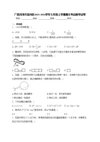 广西河池市宜州区2023-2024学年七年级上学期期末考试数学试卷(含答案)