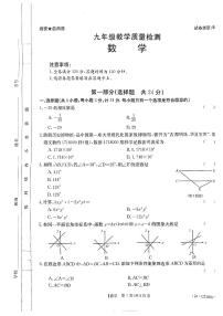 2024年陕西省安康市汉滨区部分学校九年级教学质量检测中考一模数学试题