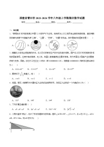 福建省莆田市2023-2024学年八年级上学期期末质量监测数学试卷(含解析)