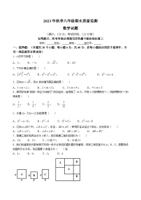 福建省泉州市永春县2023-2024学年八年级上学期期末质量监测数学试卷(含答案)