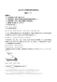 湖南省邵阳市隆回县2024届九年级上学期1月阶段性冲刺（一）数学试卷(含答案)