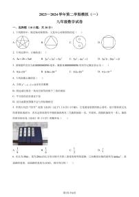 2024年广东深圳高级中学初中部中考一模数学试题+答案