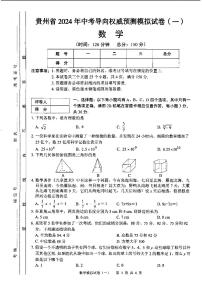 2024年贵州省安顺市关岭布依族苗族自治县部分学校+九年级+一模数学试题