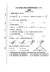 上海市曹杨第二中学附属学校2023-2024学年七年级下学期3月月考数学试卷