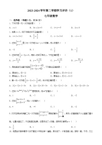 河南省周口市郸城县2023-2024学年七年级下学期4月月考数学试题