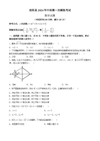 2024年河南省洛阳市汝阳县+九年级中考第一次模拟考试数学模拟试题