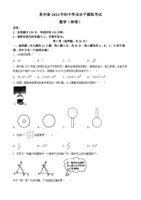 2024学年贵州省毕节市织金县七校联考九年级下学期一模考试数学模拟试题(无答案)