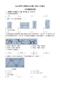 云南省文山州文山市第二学区2023-2024学年七年级下学期3月练习数学试题