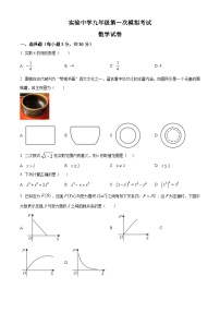 2024年广东省湛江市霞山区实验中学中考一模数学试题（原卷版+解析版）