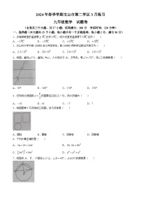 云南省文山壮族苗族自治州文山市2023-2024学年九年级下学期3月月考数学试题