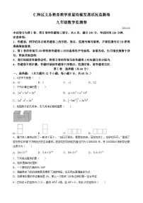 2024年四川省攀枝花市仁和区九年级中考一模数学模拟试题(无答案)