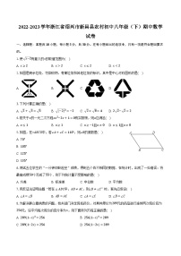2022-2023学年浙江省绍兴市新昌县农村初中八年级（下）期中数学试卷（含解析）